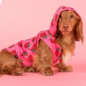 NWT Pablo & Co Dog Raincoat